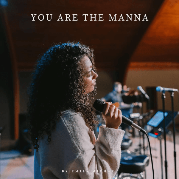 You Are the Manna — cover art